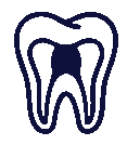 Endodoncia